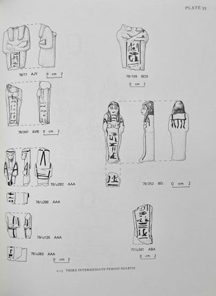 The Anubieion at Saqqara. Vol. I: The settlement and the temple precinct. Vol. II: The cemeteries (complete set)[newline]M4919a-13.jpeg