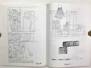 The Akhenaten temple project. Vol. 2: Rwd-Mnw, foreigners and Inscriptions.[newline]M4927a-06.jpeg