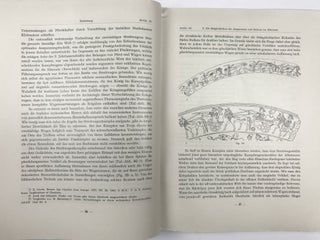 Die Pferdetrensen des Alten Orient