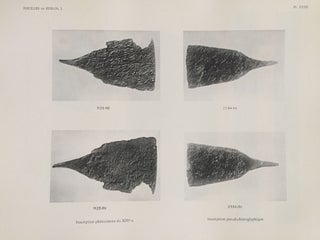 Fouilles de Byblos. Tome 1er. 1926-1932. Texte + Atlas (complete set)[newline]M4983a-22.jpg