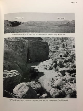 Materialien zur Arch&auml;ologie und Geschichte des Raumes von Achmim[newline]M4989-09.jpg