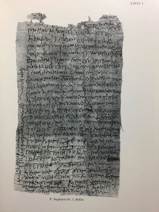 Das Archiv des Nepheros und verwandte Texte. Teil 1: Das Archiv des Nepheros - Papyri aus der Trierer und der Heidelberger Papyrussammlung. Teil 2: Verwandte Texte aus der Heidelberger Papyrussammlung[newline]M4993a-10.jpg