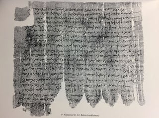 Das Archiv des Nepheros und verwandte Texte. Teil 1: Das Archiv des Nepheros - Papyri aus der Trierer und der Heidelberger Papyrussammlung. Teil 2: Verwandte Texte aus der Heidelberger Papyrussammlung[newline]M4993a-11.jpg
