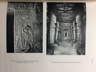 Features of the Deification of Ramesses II