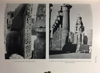 Features of the Deification of Ramesses II