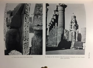 Features of the Deification of Ramesses II