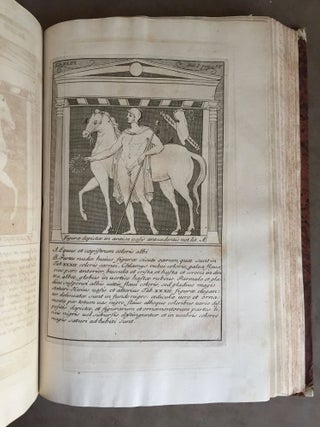 De Etruria regali libri VII (translation of title: "About royal Etruria, 7 books")[newline]M5120-067.jpg