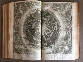 Mundus subterraneus, in XII libros digestus (translation of title: "Subterranean world, arranged into 12 books"). 2 volumes (complete set)[newline]M5236-046.jpg