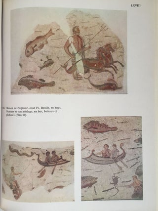 Corpus des mosaïques de Tunisie. Volume II, Région de Zaghouan. Fascicule 1: Thuburbo Majus. Les mosaïques de la région du forum.[newline]M5568-05.jpg