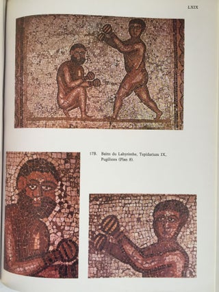 Corpus des mosaïques de Tunisie. Volume II, Région de Zaghouan. Fascicule 1: Thuburbo Majus. Les mosaïques de la région du forum.[newline]M5568-06.jpg