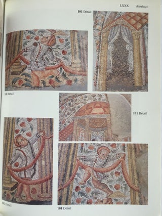 Corpus des mosaïques de Tunisie. Volume IV, Karthago (Carthage). Fascicule 1 : Les mosaïques du parc archéologique des thermes d'Antonin.[newline]M5581-05.jpg