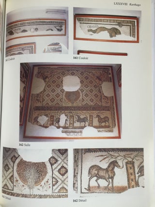 Corpus des mosaïques de Tunisie. Volume IV, Karthago (Carthage). Fascicule 1 : Les mosaïques du parc archéologique des thermes d'Antonin.[newline]M5581-06.jpg