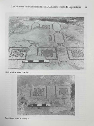 Leptiminus (Lamta) : a roman port city in Tunisia. Report N. 1.[newline]M5582-04.jpeg