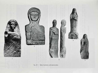 Les tombes puniques de Carthage. Topographie, structures, inscriptions et rites funéraires.[newline]M5583a-05.jpeg