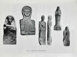 Les tombes puniques de Carthage. Topographie, structures, inscriptions et rites funéraires.