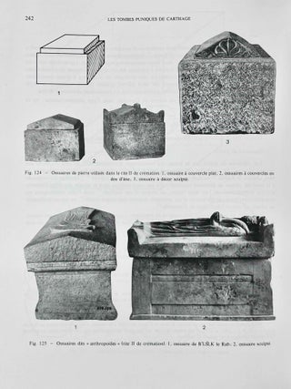 Les tombes puniques de Carthage. Topographie, structures, inscriptions et rites funéraires.[newline]M5583a-06.jpeg