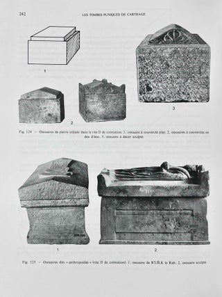 Les tombes puniques de Carthage. Topographie, structures, inscriptions et rites funéraires.