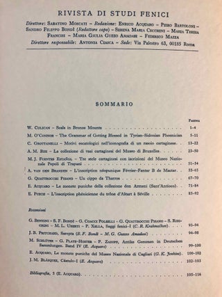 Rivista di studi fenici. Volume III to IX + supplemento Volume IX (15 volumes)[newline]M5635a-11.jpg