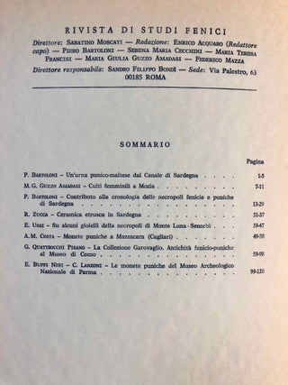 Rivista di studi fenici. Volume III to IX + supplemento Volume IX (15 volumes)[newline]M5635a-31.jpg