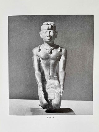 The Representation of the King in the XXVth Dynasty[newline]M5682c-07.jpeg