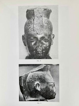 The Representation of the King in the XXVth Dynasty[newline]M5682c-08.jpeg