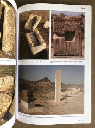 Kom Firin I: The Ramesside Temple and the Site Survey[newline]M5701-06.jpg
