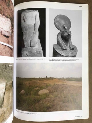 Kom Firin I: The Ramesside Temple and the Site Survey[newline]M5701-08.jpg