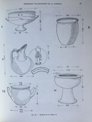 Recherches archéologiques en territoire volsinien de la protohistoire à la civilisation étrusque[newline]M5771-05.jpg