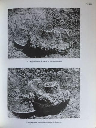 Recherches archéologiques en territoire volsinien de la protohistoire à la civilisation étrusque[newline]M5771-07.jpg