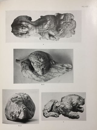 The Etruscan Lion