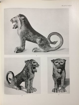 The Etruscan Lion