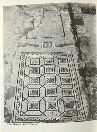 Corpus des mosaïques de Tunisie. Volume I: Région de Ghar el Melh (Porto Farina). Atlas archéologique de la Tunisie, feuille 7. Fascicules 1, 2 et 3 (complete set)[newline]M5871-06.jpeg