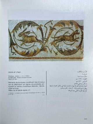 Tunisie: terre de rencontres et de civilisation[newline]M5900-06.jpeg