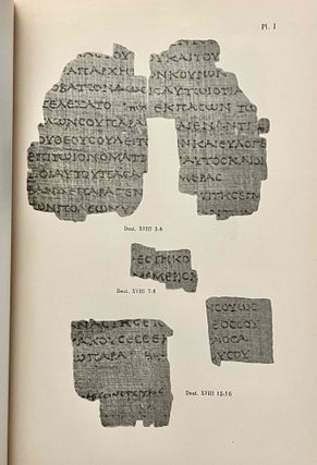 Papyrus grecs bibliques (papyrus F. Inv. 266). Volumina de la Genèse et du Deutéronome. Volume I: Introduction. Volume II: Texte et Planches (complete set)[newline]M6419a-09.jpeg