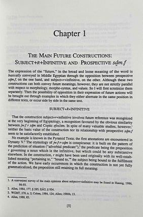 Future at issue. Tense, mood and aspect in middle egyptian : studies in syntax and semantics.[newline]M6430a-05.jpeg