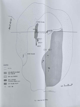 Missione di scavo a Medinet Madi (Fayum - Egitto). Vol. I: Rapporto preliminare delle campagne di scavo 1966 e 1967.[newline]M6447b-03.jpeg