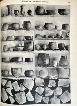 Mostagedda and the Tasian culture. British museum expedition to Middle Egypt. First and second years: 1928 and 1929.[newline]M6457a-09.jpeg