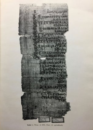 Eine griechisch-koptische Odenhandschrift (Papyrus copt. Vindob. K 8706)[newline]M6462b-05.jpg