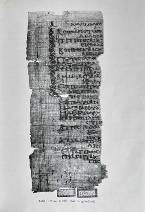 Eine griechisch-koptische Odenhandschrift (Papyrus copt. Vindob. K 8706)[newline]M6462b-06.jpeg