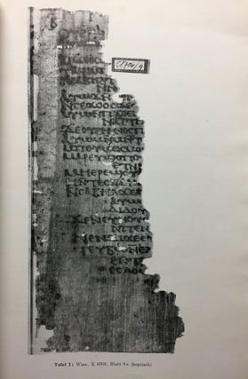 Eine griechisch-koptische Odenhandschrift (Papyrus copt. Vindob. K 8706)[newline]M6462b-07.jpg