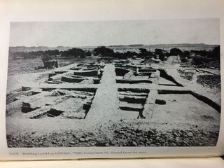 The Capital of Kush 1. Meroe excavations 1965-1972.[newline]M6476-07.jpg