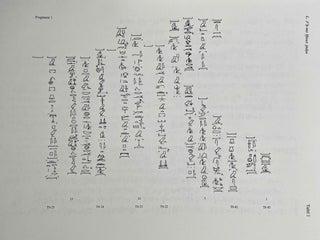 Die Totenbuch-Handschriften der 18. Dynastie im Ägyptischen Museum Cairo. Band I: Text. Band II: Tafeln (complete set)[newline]M6504a-14.jpeg