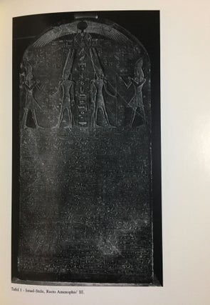 Göttergericht und "Heiliger" Krieg im Alten Ägypten : die Inschriften des Merenptah zum Libyerkrieg des Jahres 5.[newline]M6509-07.jpg