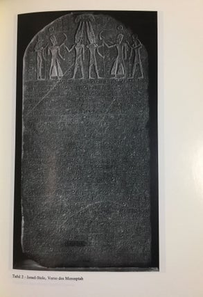 Göttergericht und "Heiliger" Krieg im Alten Ägypten : die Inschriften des Merenptah zum Libyerkrieg des Jahres 5.[newline]M6509-08.jpg