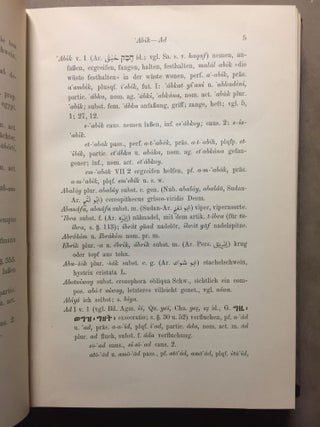 Wörterbuch der Bedauye-Sprache[newline]M6538-04.jpg