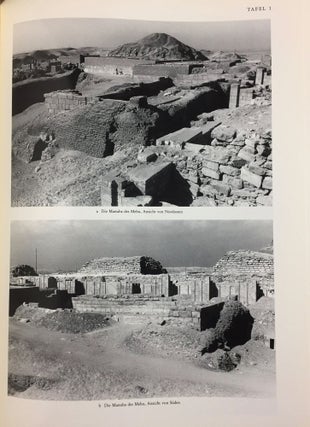 Die Wanddarstellungen im Grab des Mehu in Saqqara[newline]M6545-11.jpg