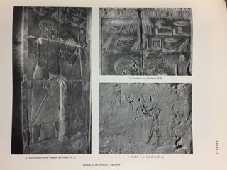 Die Wanddarstellungen im Grab des Mehu in Saqqara[newline]M6545-12.jpg