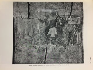 Die Wanddarstellungen im Grab des Mehu in Saqqara[newline]M6545-13.jpg