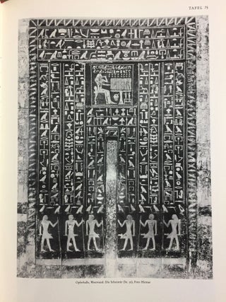 Die Wanddarstellungen im Grab des Mehu in Saqqara[newline]M6545-15.jpg