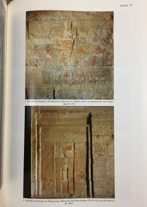 Die Wanddarstellungen im Grab des Mehu in Saqqara[newline]M6545-16.jpg